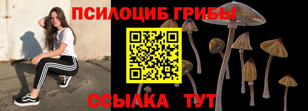 Галлюциногенные грибы Cubensis  Галлюциногенные грибы мухоморы  Вход с VPN  Орёл 