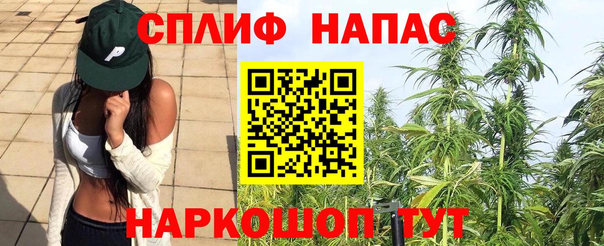 Конопля THC 21%  Вход с VPN  Орёл  Каннабис конопля  Бошки марихуана сатива 